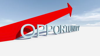 青創(chuàng)城電子商務(wù)園區(qū)swot分析